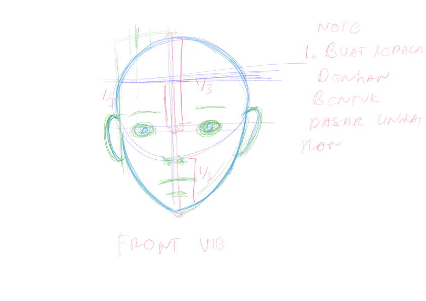 Front view head proportion sketch with basic guideline lines