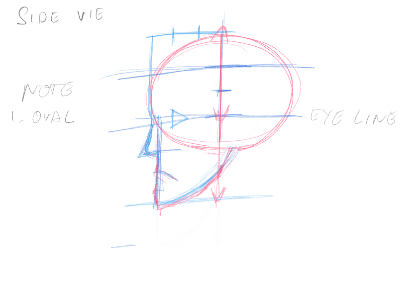 Side view head proportion sketch with oval shape and construction guidelines