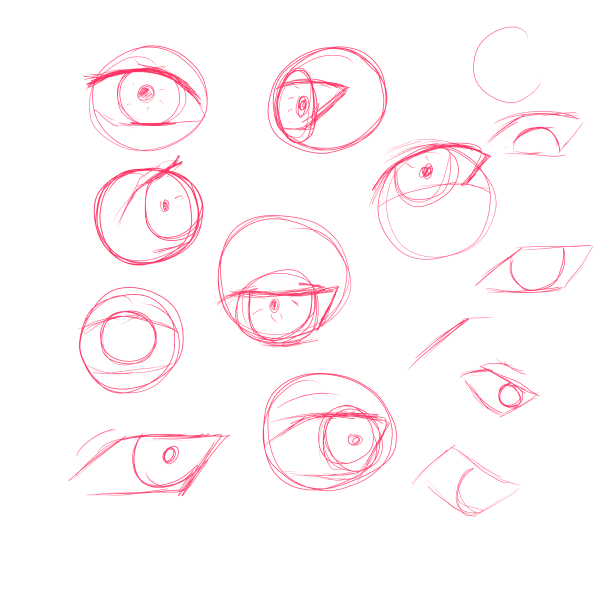 Basic eye structure sketch