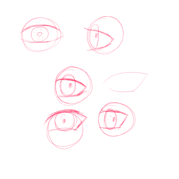 Basic eye structure sketch