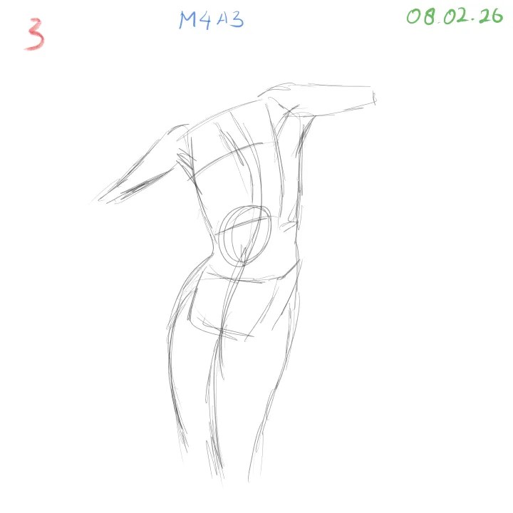 figure drawing anatomy detail study using partial poses and clean construction lines